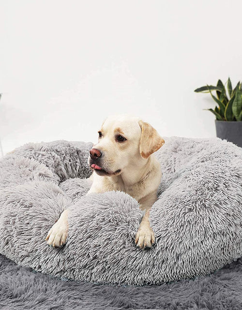 Load image into Gallery viewer, Dog Beds Calming Donut Cuddler, Puppy Dog Beds Large Dogs, Indoor Dog Calming Beds Large,30''
