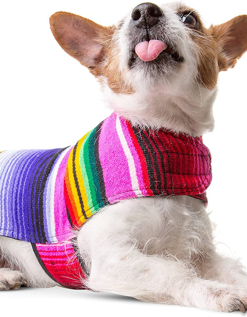 Load image into Gallery viewer, Handmade Dog Poncho from Mexican Serape Blanket - Southwestern and Tie Dye Dog Clothes - Coat - Costume - Sweater - Vest
