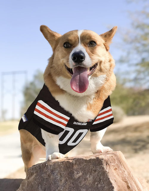 Load image into Gallery viewer, NFL Chicago Bears MESH Jersey for Dogs &amp; Cats
