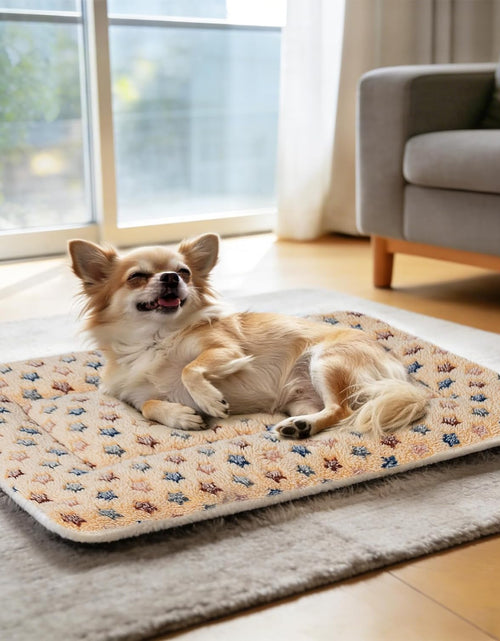 Load image into Gallery viewer, Dog Bed Crate Pad Ultra Soft Pet Bed with Cute Star Print Washable Crate Mat for Large Medium Small Dogs Reversible Fleece Dog Crate Kennel Mat Cat Bed Liner 21 X 12 Inch Brown
