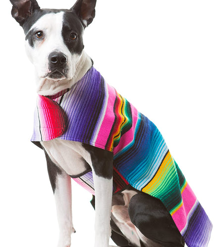 Handmade Dog Poncho from Mexican Serape Blanket - Southwestern and Tie Dye Dog Clothes - Coat - Costume - Sweater - Vest