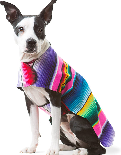 Load image into Gallery viewer, Handmade Dog Poncho from Mexican Serape Blanket - Southwestern and Tie Dye Dog Clothes - Coat - Costume - Sweater - Vest
