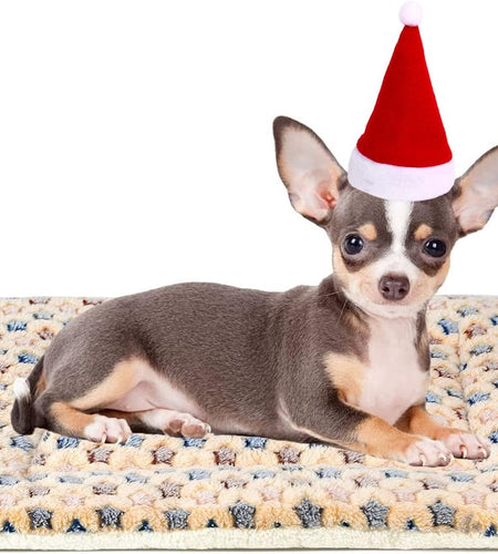 Dog Bed Crate Pad Ultra Soft Pet Bed with Cute Star Print Washable Crate Mat for Large Medium Small Dogs Reversible Fleece Dog Crate Kennel Mat Cat Bed Liner 21 X 12 Inch Brown