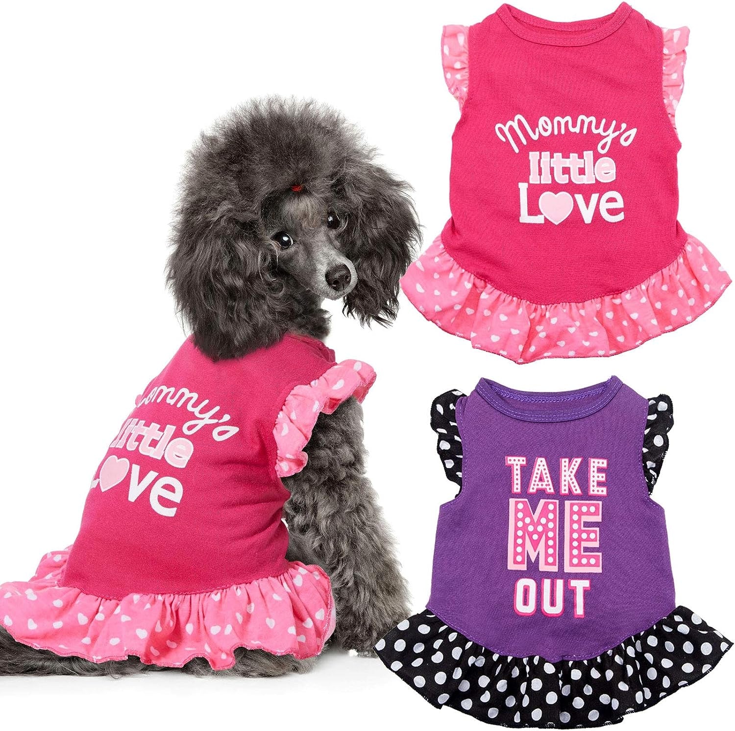 2 Pieces Dog Dresses for Small Dogs Cute Girl Female Dog Dress Mommy Puppy Shirt Skirt Doggie Dresses Pet Summer Clothes Apparel for Dogs and Cats (Love and Me,X-Small)