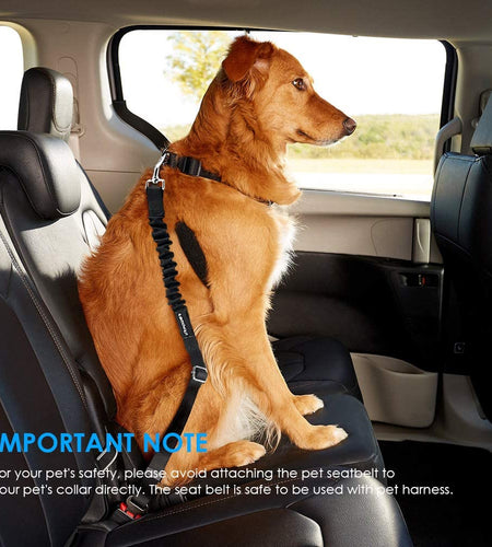 Dog Seat Belt, Dog Car Harness Dog Seatbelts