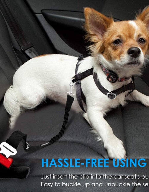 Load image into Gallery viewer, Dog Seat Belt, Dog Car Harness Dog Seatbelts
